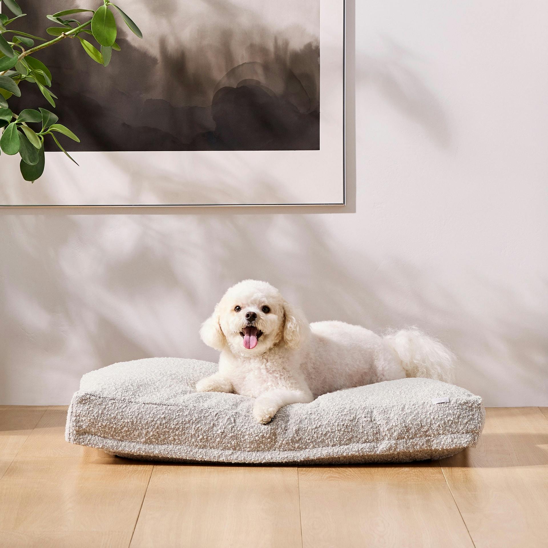 Wipe down dog discount bed