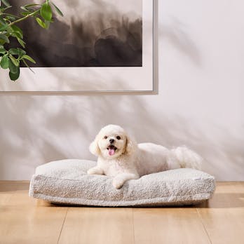 Saatva Dog Bed - Small / Medium / Large