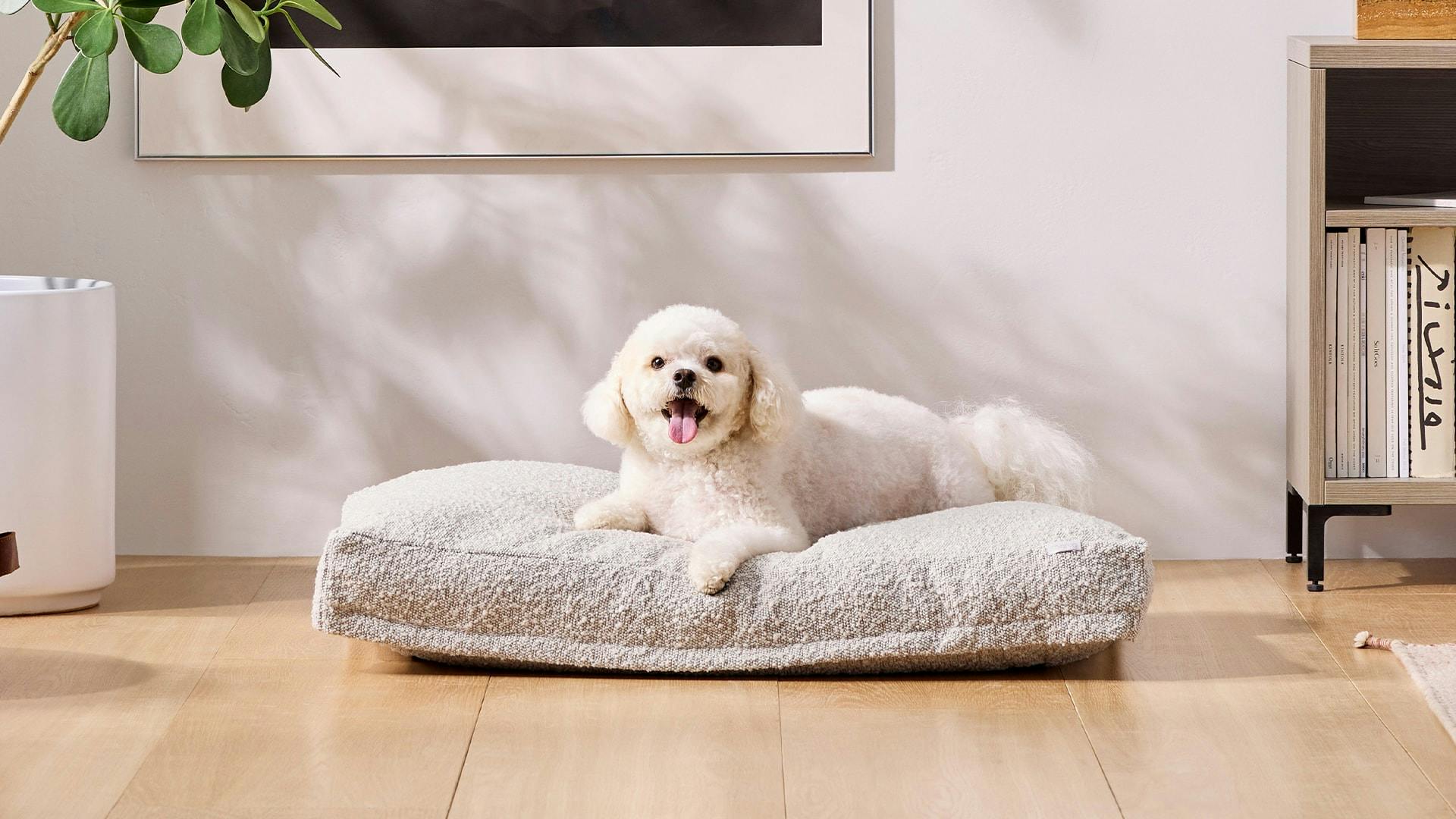 Crib mattress outlet dog bed frame