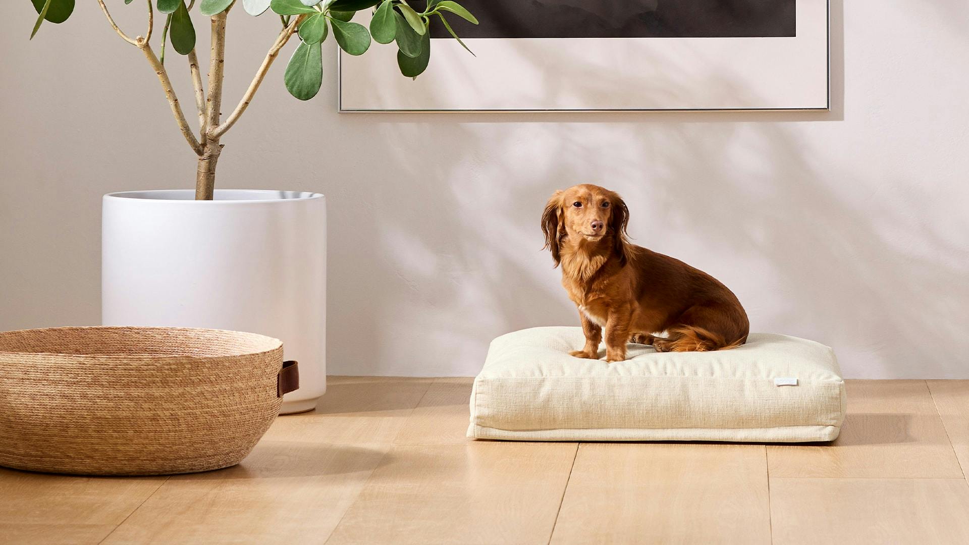 Comfy pet bed bench hotsell