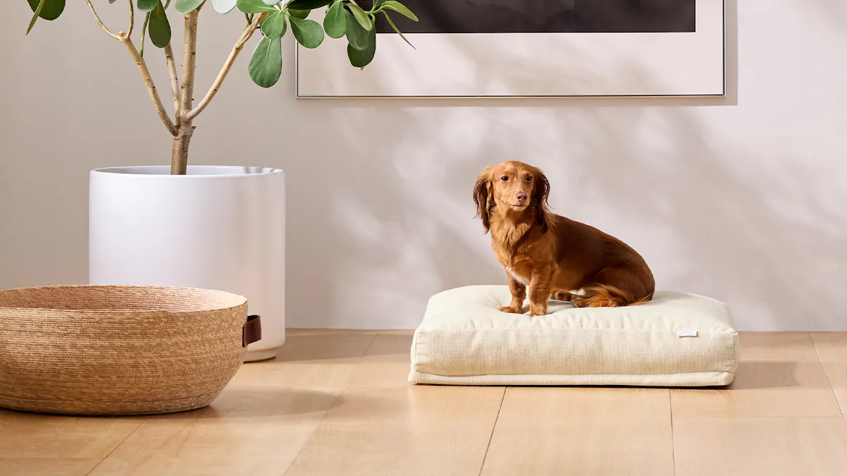 Saatva Dog Bed