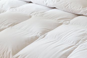 Down Comforter