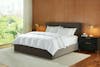 Down Comforter lifestyle