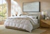 Down Comforter lifestyle