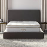 Saatva Latex Hybrid Bundle